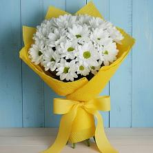 Букет цветов из:  Хризантемы в Мошенское
