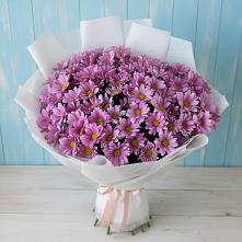 Букет цветов из:  Хризантемы #REPLACE_PRED# Мошенское