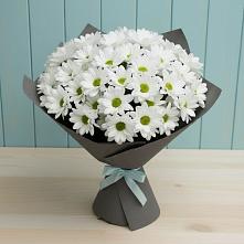 Букет цветов из:  Хризантемы в Мошенское
