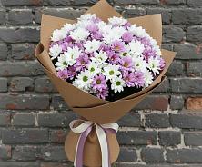 Букет цветов из:  Хризантемы в Мошенское