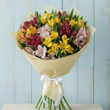 Букет цветов из:  Альстромерии в Мошенское