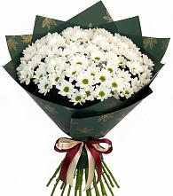 Букет цветов из:  Хризантемы в Мошенское