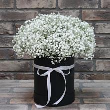 Цветочная композиция из Гипсофила в шляпной коробке в Мошенское