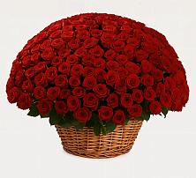 Премиум букет из: Розы в Мошенское