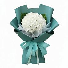 Букет цветов из:  Гортензия в Мошенское